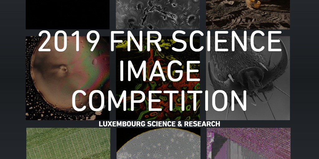 2019 FNR SCIENCE IMAGE COMPETITION